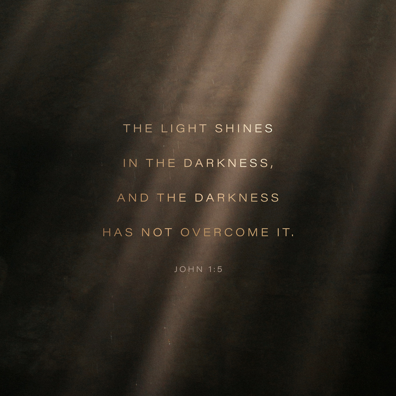 Light in the Darkness